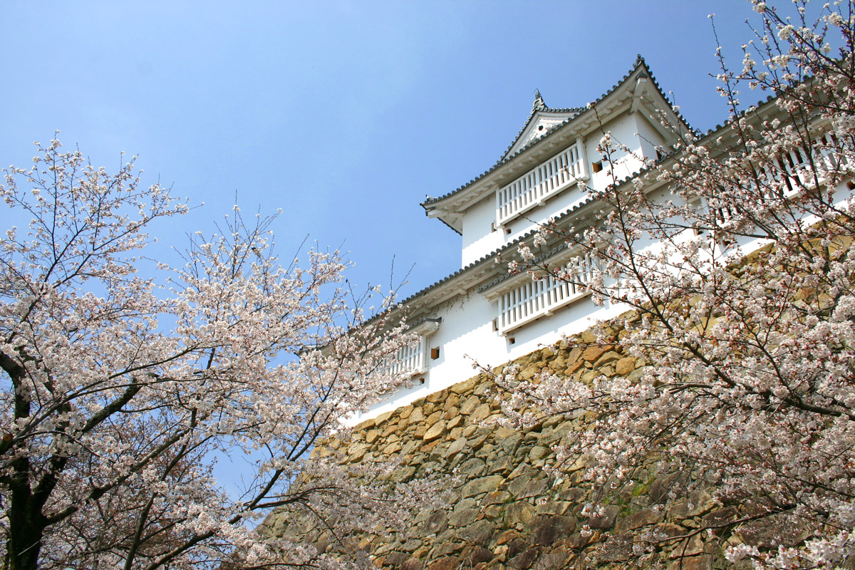 鶴山公園